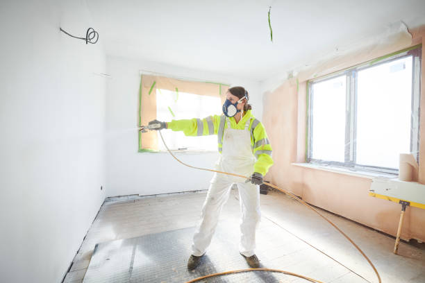 Branford Center, CT Mold Removal Company