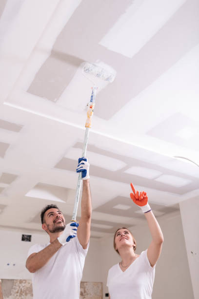 Best Airborne Mold Testing  in Branford Center, CT