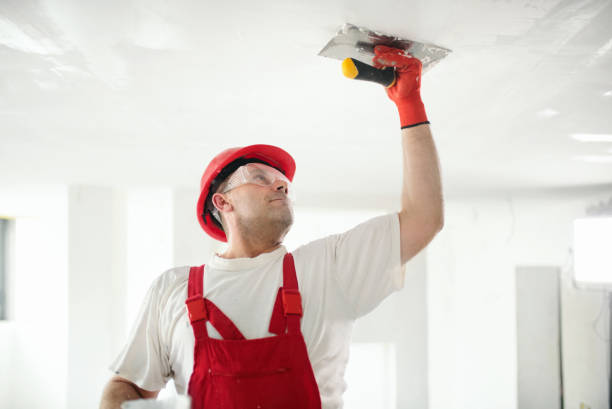 Best Comprehensive Air Testing for Mold Contaminants  in Branford Center, CT