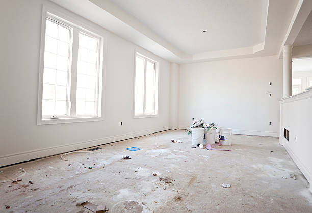 Best Black Mold Removal  in Branford Center, CT